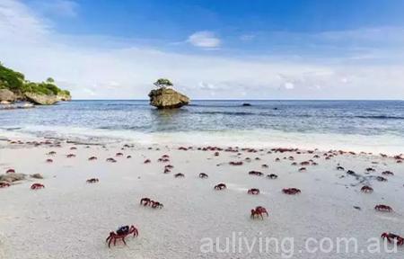 Dolly Beach