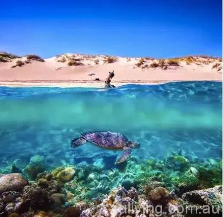 Turquoise Bay