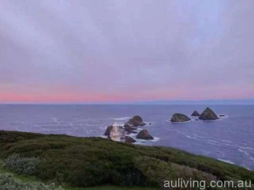 pic_1484545017_57456