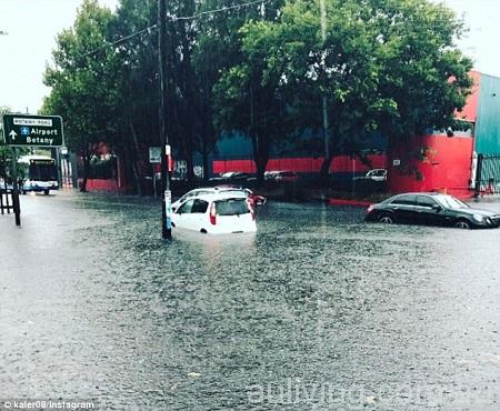 3CE8F89400000578-4198096-Cars_almost_completely_submerged_on_Botany_Road-m-61_1486440913228