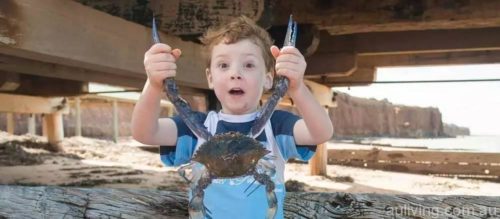 7c18f3d58ef987ee0e7b90c8b1ad244e