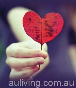 heart