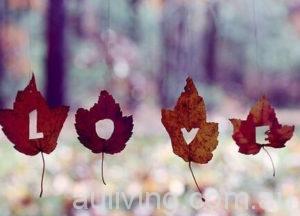 love