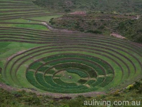 image002