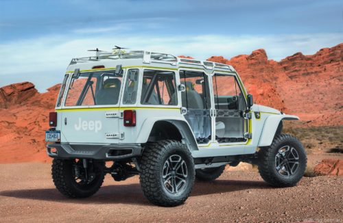 Safari-2