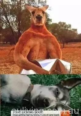 XXXXXXXXXXXX_20170407193926