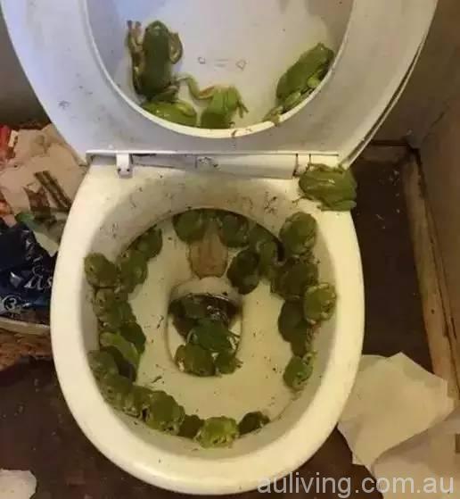 XXXXXXXXXXXX_20170407194057