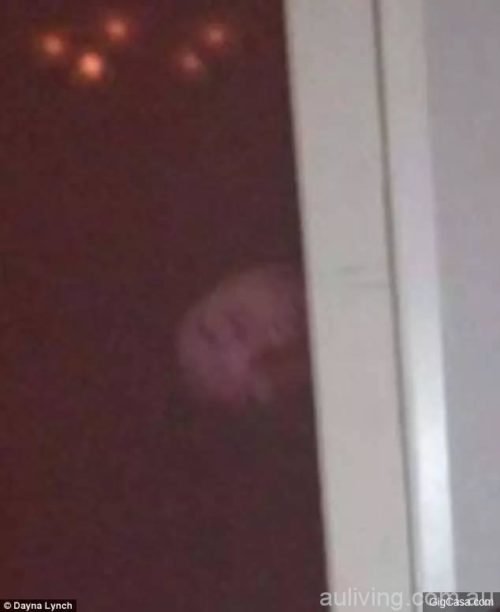 XXXXXXXXXXXX_20170430081933