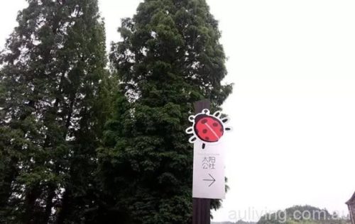 XXXXXXXXXXXX_20170504173408