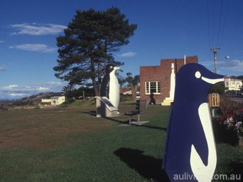 Penguin