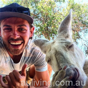6-1