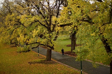 C:\Users\Sophia\AppData\Local\Microsoft\Windows\INetCache\Content.Word\melbourne-weather-600x400.jpg