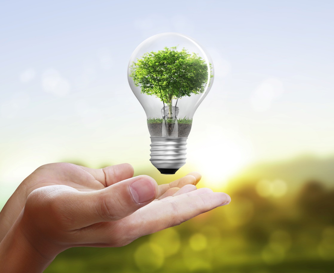 C:\Users\Sophia\AppData\Local\Microsoft\Windows\INetCache\Content.Word\4-tips-to-save-energy-at-home.jpg