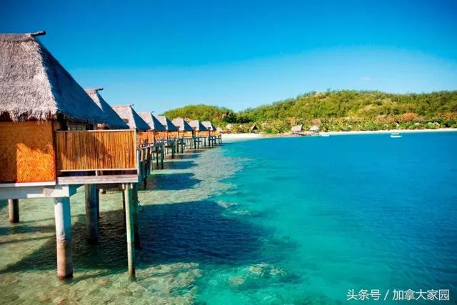 這6年，我生不如死！只是因為吃了這條魚……