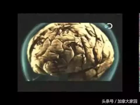 這6年，我生不如死！只是因為吃了這條魚……