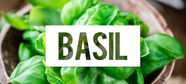 http://www.yeeyi.com/news/data/article/2017_10_31/3/pic_1509420429_42184.jpg