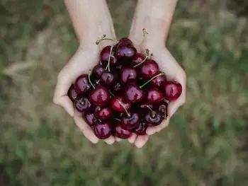 https://i.aoweibang.com/img/3Ecy5vRYW3FUGav97JmHdYyIcUqBopNXJONIv9g7YuOqrG_88tmGZ_onfqyWsTeNfJ77Vy-3cBcx5gYMYBoLdvhbbHOVTUVtsRKsPtu5atYWgzURWC_HIR_M_jZ_Roww85BOrSmBEz2HRznrmSvDGf7sxoXvdCfxSB0DBgs9_tPFCLPYGX6Cc5ogTKC6Y9Hn40aQqdRDoE6AQr3bW9WiDg/awb.jpg