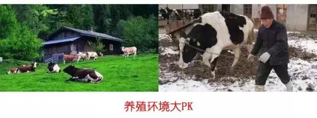 https://mmbiz.qpic.cn/mmbiz_jpg/oaJsRtm8YseM9NKrQTXdbQf75PJoZa5eMnQNLLEBcXv7fmI4OHPicaRlQyiaLeHAle6BnqlPmTZk8DUnNIY3XRXw/640?wx_fmt=jpeg