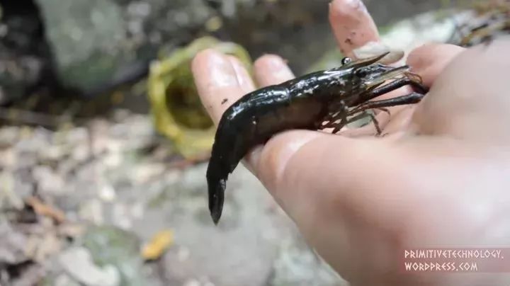 https://mmbiz.qpic.cn/mmbiz_jpg/XIo5icAdibUPJQqthhKoiawCZBEyfcUbQZIbhowyLsgibibMwtpFaQbUk5KOV9JQgU8jGgQdbIaqh7HDaP7YHEaKXrg/0?wx_fmt=jpeg