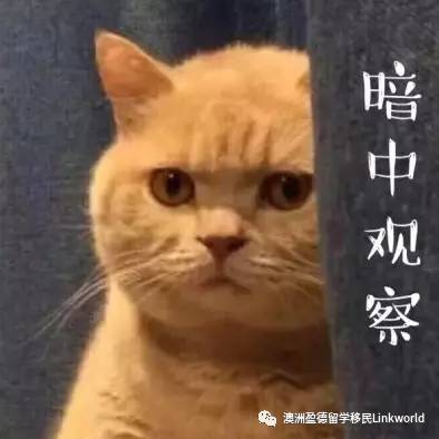 https://mmbiz.qpic.cn/mmbiz_png/ufFxL7XbAgBNmicYDWEft7OmfA6OEDau4ZSOyNbicp1acgKu3IJH5I2B4dDuXZshnMD18Biamtl0IMFO0TicutjS7w/0?wx_fmt=png