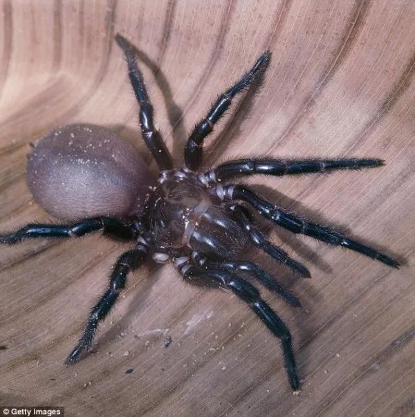 https://mmbiz.qlogo.cn/mmbiz_jpg/XIo5icAdibUPKPta04JZM6KbSr6EH6fiaDYicqibib0x91sUXOFbQSHw7V0eJ2DInEx6GfYHAgWxpOsGgRSSJiaWibiaqbQ/0?wx_fmt=jpeg