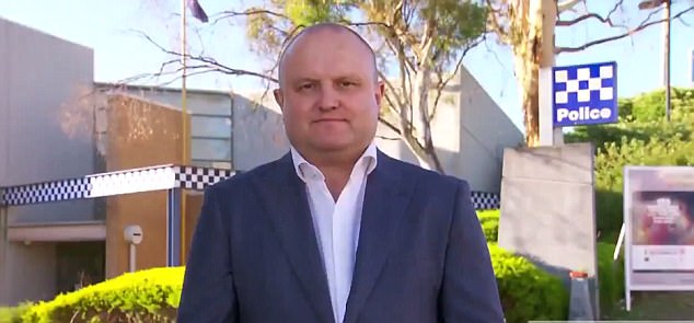 Federal Liberal MP Jason Wood says African thugs aren't interested in becoming citizens
