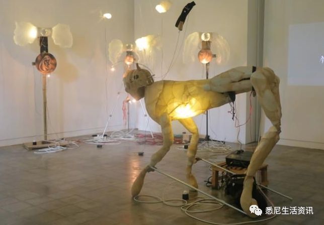 http://www.yeeyi.com/news/data/article/2018_01_05/6/pic_1515136275_29910.jpg