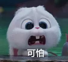 https://mmbiz.qlogo.cn/mmbiz_jpg/XIo5icAdibUPLfwmVxticicD6tf3CF9OoZDzHgMUvFJFxUahyYLwqPiaWQ6SK9c3yVFfdVxsGnQoLFS3V7AD0XH8kTQ/0?wx_fmt=jpeg