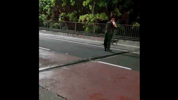https://mmbiz.qpic.cn/mmbiz_gif/XIo5icAdibUPJc9qGMKcYUqwicXmtzQc7zH5CxiczTp9ON8fkjZHryjN2vNicC2uSYsCKYUedgJJ0k0B4GGiaOWewXWA/0?wx_fmt=gif