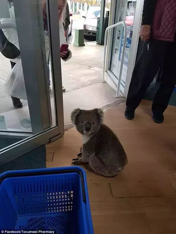 https://mmbiz.qpic.cn/mmbiz_jpg/XIo5icAdibUPJc9qGMKcYUqwicXmtzQc7zHOLR7L2uI2Drba4hI37MBbKvKtzUsDAFU5hnaTqv0zp4TfnODd2mGicw/0?wx_fmt=jpeg
