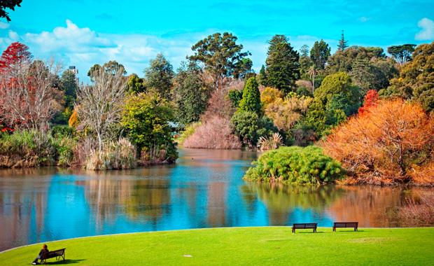 C:\Users\Sophia\AppData\Local\Microsoft\Windows\INetCache\Content.Word\The-Royal-Botanic-Gardens-web620.jpg