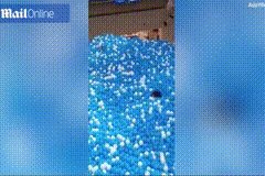 1.gif