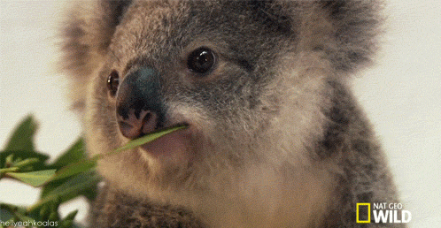 3.gif