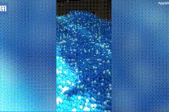 3.gif