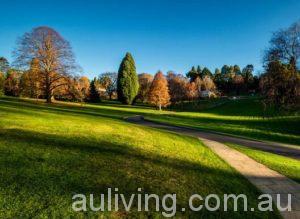 greenXgrassXandXtrees