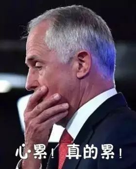 https://mmbiz.qpic.cn/mmbiz_jpg/XIo5icAdibUPJBvnYPEY63IZqAOmHiapRshDncWGnYAyQiapyWxd2yqPvBUbB9KZSWckIOrd1JIarYzRwfyC5XVpag/0?wx_fmt=jpeg