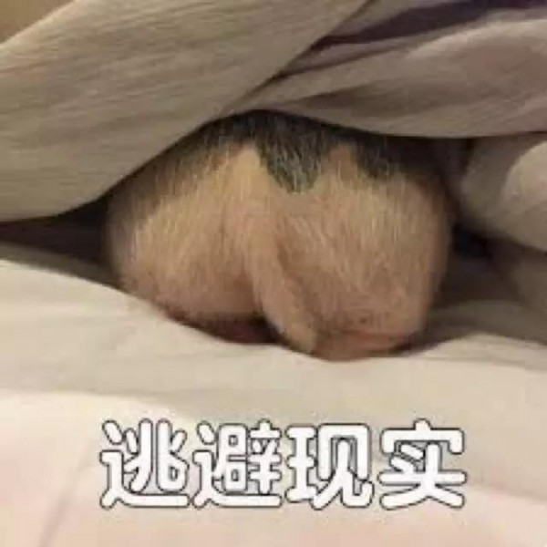 微信图片_20171031113554.jpg,0