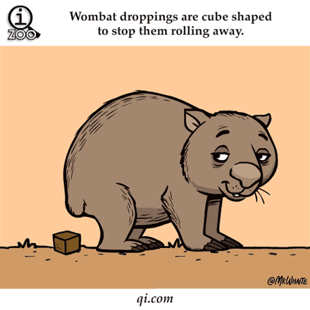 2.gif