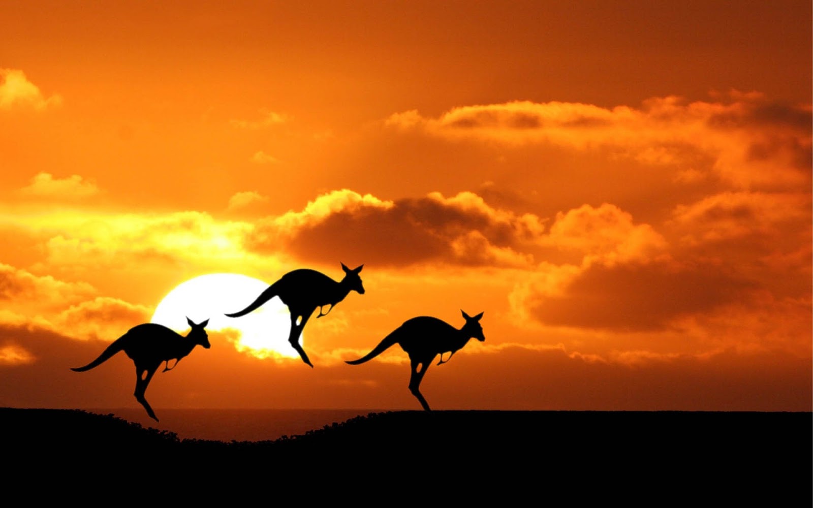 C:\Users\Sophia\AppData\Local\Microsoft\Windows\INetCache\Content.Word\australia.jpg