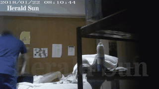 animation (1).gif,0