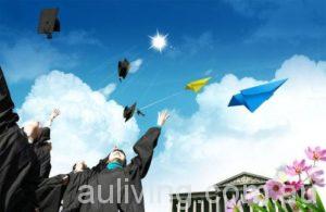 Graduate