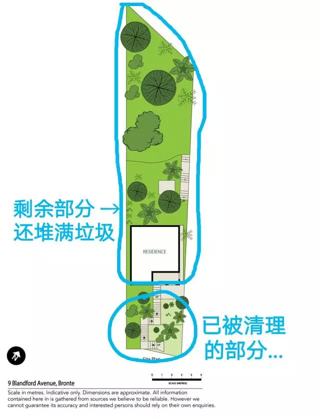 http://cdn36.chinesetoday.cn/2018/news/20180219/18021902335a899cc6a5381.jpg