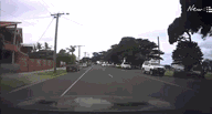 http://cdn36.chinesetoday.cn/2018/news/20180220/18022014265a8b955a37dc7.gif