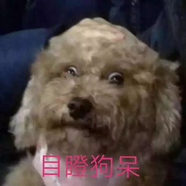 http://www.weiaozhou.com/pics/showyixia.php?url=https://mmbiz.qpic.cn/mmbiz_jpg/MYPsIicQibXribBqykVTZvhAozLibEtZAvMFbbKgs57Eic3icNMCKHeg4cUer7woicoicsxAzELanrxZLz5eic96vViarBtw/640?wx_fmt=jpeg