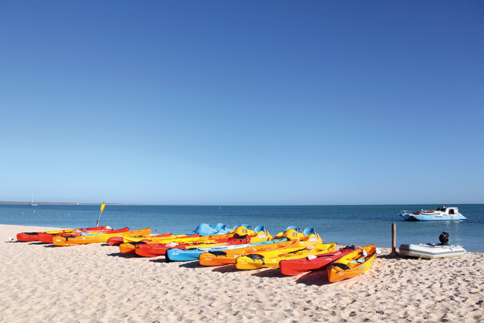https://visionmagazine.com.au/article_photo/16/20180212045840-108vhjbk.jpg