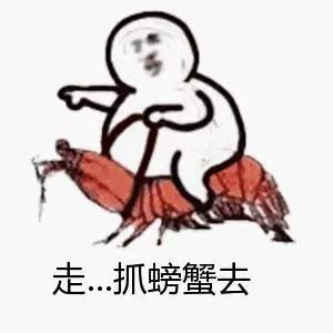 全体注意!悉尼海滩已被顶级海鲜攻陷,竟然能免费抓!从早到晚,小伙伴捞的爽翻了!隔着屏幕哈喇子流了一地...