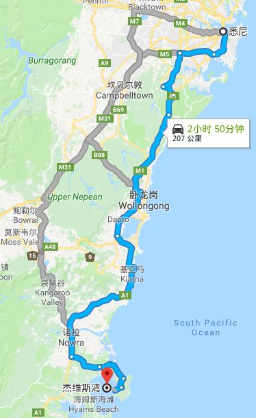 全体注意!悉尼海滩已被顶级海鲜攻陷,竟然能免费抓!从早到晚,小伙伴捞的爽翻了!隔着屏幕哈喇子流了一地...