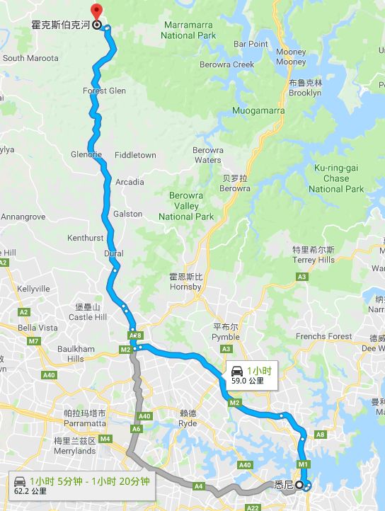 全体注意!悉尼海滩已被顶级海鲜攻陷,竟然能免费抓!从早到晚,小伙伴捞的爽翻了!隔着屏幕哈喇子流了一地...