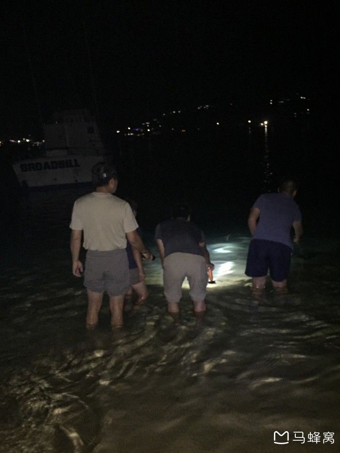 全体注意!悉尼海滩已被顶级海鲜攻陷,竟然能免费抓!从早到晚,小伙伴捞的爽翻了!隔着屏幕哈喇子流了一地...