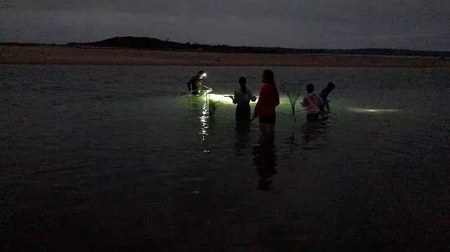 全体注意!悉尼海滩已被顶级海鲜攻陷,竟然能免费抓!从早到晚,小伙伴捞的爽翻了!隔着屏幕哈喇子流了一地...